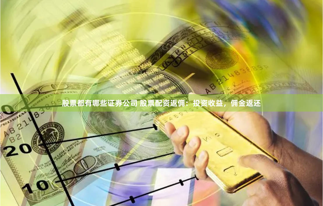 股票都有哪些证券公司 股票配资返佣：投资收益，佣金返还