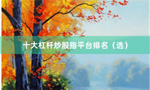 十大杠杆炒股指平台排名（选）