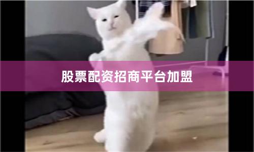 股票配资招商平台加盟