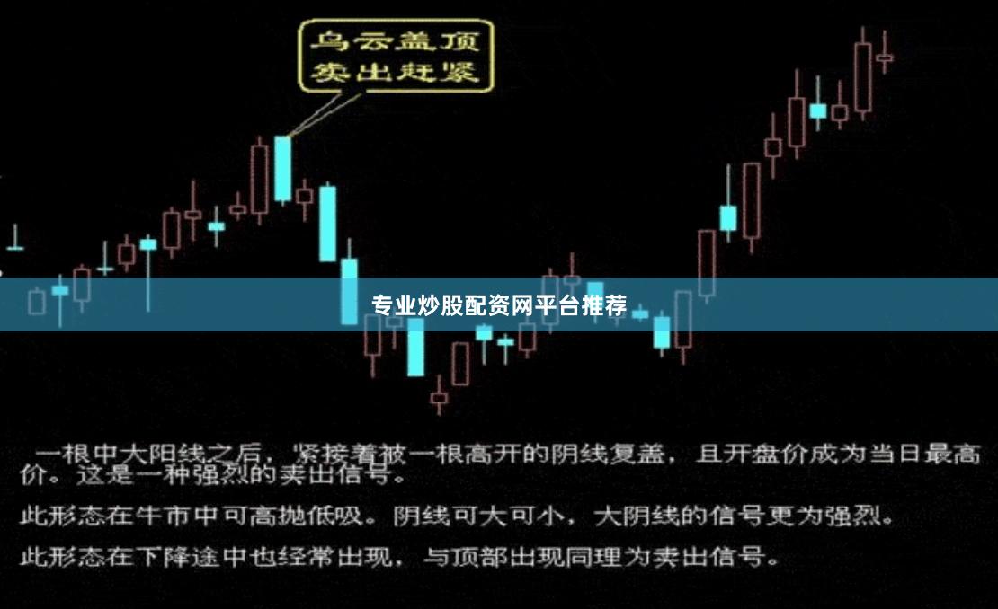 专业炒股配资网平台推荐