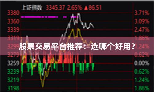 股票交易平台推荐：选哪个好用？